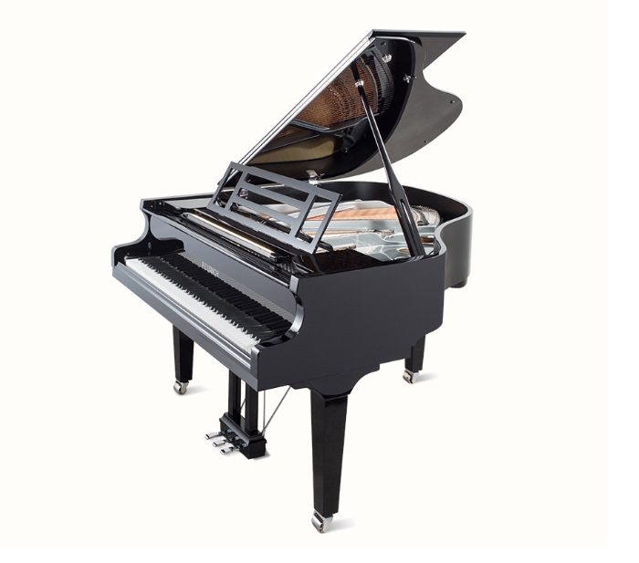 Feurich 162_10 Dynamic I - immagine 2