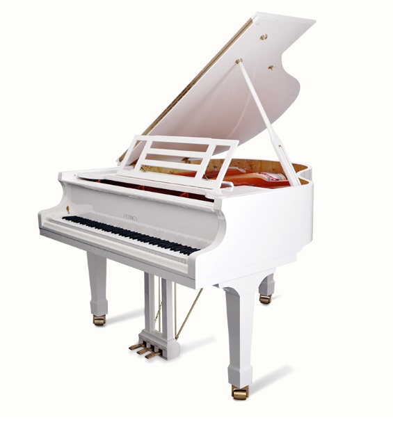 Feurich 162_10 Dynamic I - immagine 3