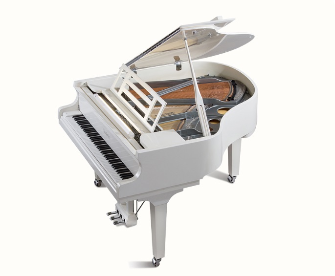Feurich 162_10 Dynamic I - immagine 4
